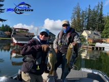 bass2-1