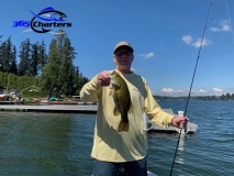bass229
