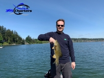 bass241