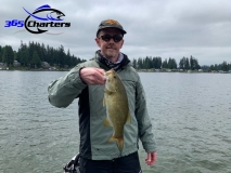 bass320