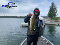 bass50