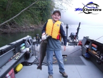 new_CohoSalmon006