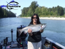 new_CohoSalmon008
