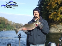 new_CohoSalmon015