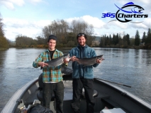 new_CohoSalmon028