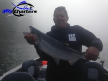 new_CohoSalmon032