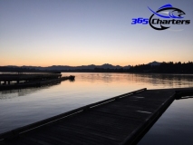 new_Kokanee004