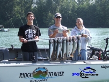 new_Pink-Salmon003