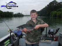 new_Pink-Salmon010