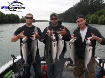 new_Pink-Salmon013