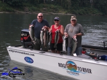 new_Pink-Salmon017