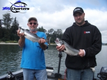 new_Pink-Salmon021