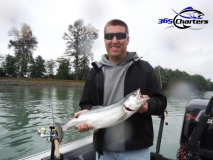 new_Pink-Salmon027