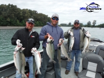 new_Pink-Salmon030