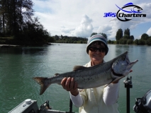 new_Pink-Salmon031
