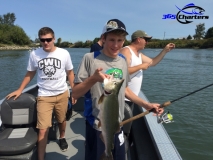 new_Pink-Salmon037