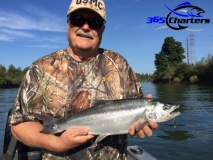 new_Pink-Salmon038