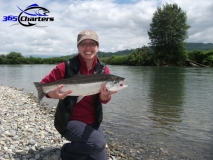 new_Steelhead002