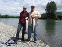 new_Steelhead003
