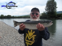 new_Steelhead006