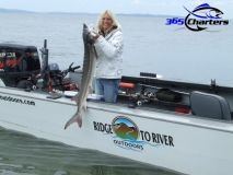 new_Sturgeon001