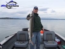 new_Sturgeon004