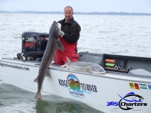 new_Sturgeon006