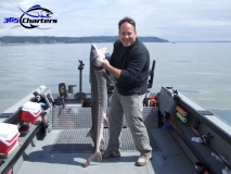 new_Sturgeon008