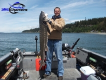 new_Sturgeon014