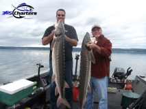 new_Sturgeon015