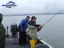 new_Sturgeon018