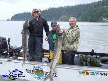 new_Sturgeon024