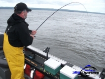 new_Sturgeon025