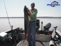 new_Sturgeon026