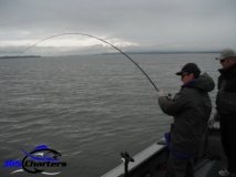 new_Sturgeon027