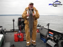 new_Sturgeon028