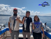 new_coho2020a