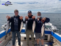 new_coho2020d